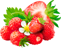 Яблоко, черноплодная рябина, клубника, земляника